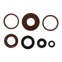 Oil Seal Kit