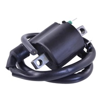 External Ignition Coil Assorted Polaris Models RFR Fitments