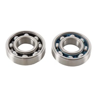 Main Bearing and Seal Kit