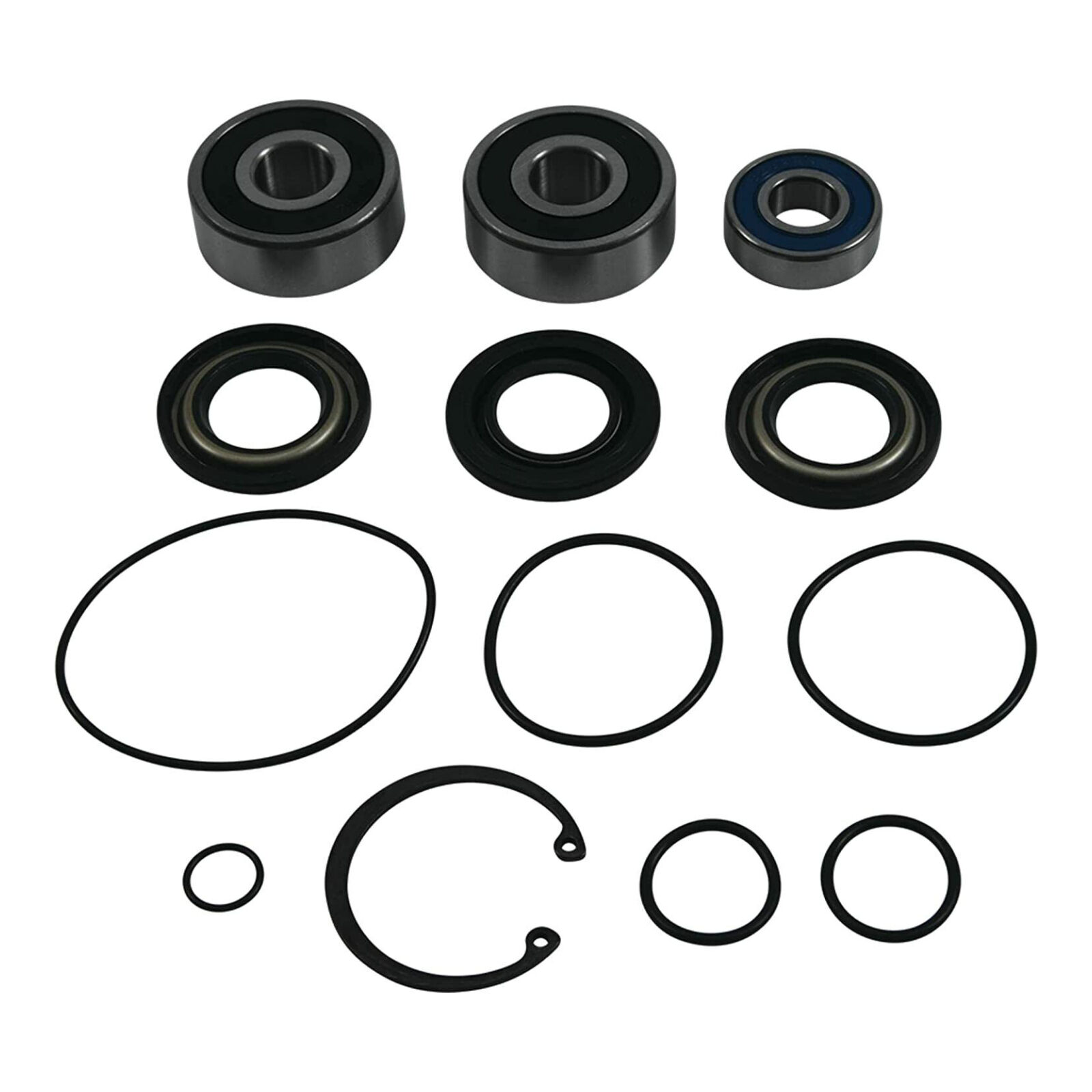 All Balls Racing Jet Pump Rebuild Kit (143013)