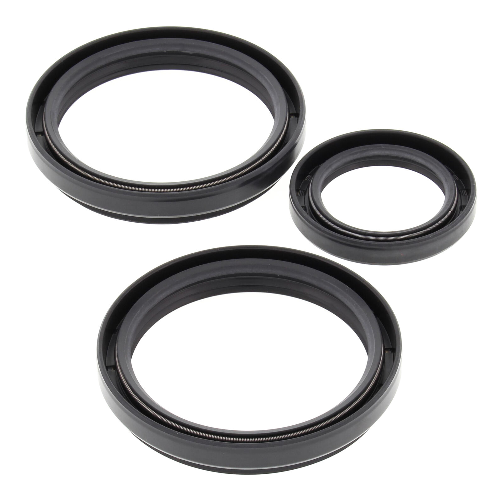 DIFF SEAL KIT FRONT 2520515