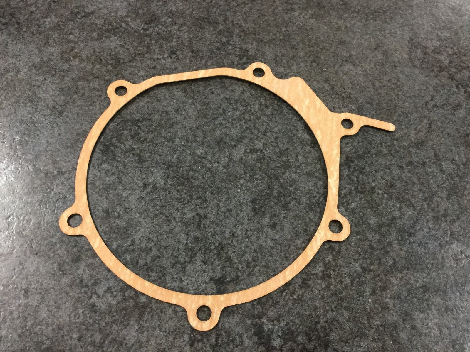 Stator Cover Gasket Kawasaki KX60 110091974
