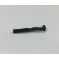 Brush Guard Screw 