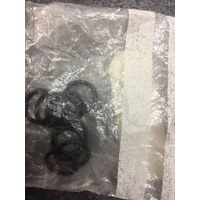 Oil Fill Plug O-Ring #0770191015