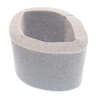 Air Cleaner Element Honda CTX200 Farm Bike 