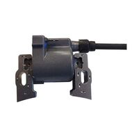 COIL ASSY L,IGN #30550ZJ1845