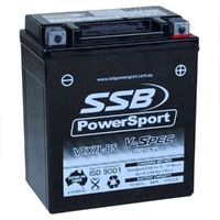 12V SSB V-Spec High Perform. AGM Battery (8) (2.63 Kg)