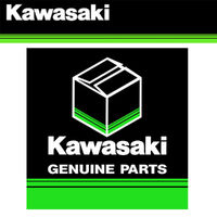 Kawasaki Guard #55020-2213