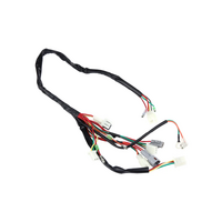 PW50 wiring harness assembly #56HXPW5002