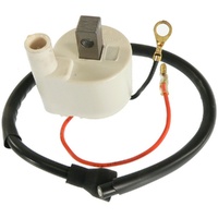 Arrowhead - Ignition Coil Yamaha PW50 81-97 - Superseded from 6-IYA0003