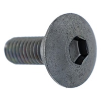 Genuine Honda Special Screw, 6mm #90106-MBL-610