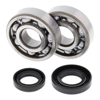 All Balls Racing Crankshaft Bearing Kit (24-1002)