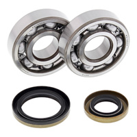 Crank Bearing Seal Kit 24-1110