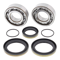 Crank Bearing Seal Kit 24-1111