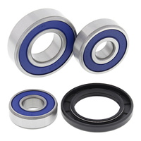 All Balls Racing Wheel Bearing Kit (25-1608)