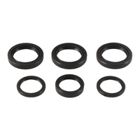 Differential Seal Kit  25-2065-5