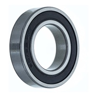 Bearing 60/32 2NS 30-060-32