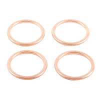 Exhaust Gasket Kit 823015