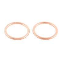 Exhaust Gasket Kit 823018
