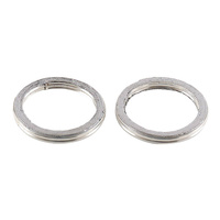 Exhaust Gasket Kit 823038