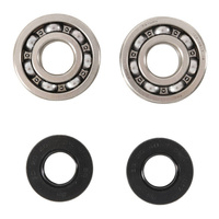 Main Bearing and Seal Kit