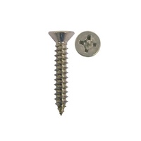 10G x 1-1/4'' Self Tap CSK 304 Stainless Pk of 8