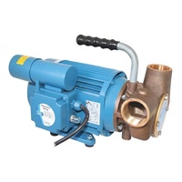 Heavy Duty Utility Pump 230VAC 1056GPH