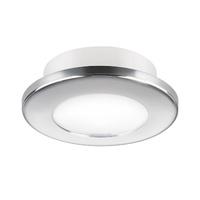 Quick Ted Downlight Stainless Steel Rim Daylight