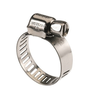 Hose Clamps Perforated Band 316 Stainless Steel Micro 40-57mm (Box of 10)