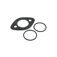 Spare BTQ 250 Gaskets