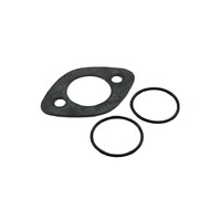 Spare BTQ 300 Gaskets