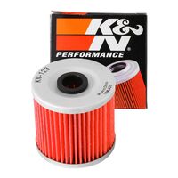 K&N Oil Filter (HF123)