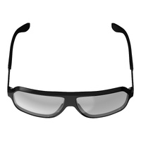 Leatt TheViz Sunglasses Andes - Black Polarized Silver 17 VLT