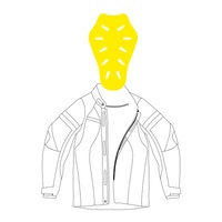 LS2 Back Protector (S-L)