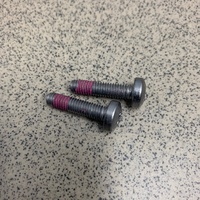 Screw Pan Head TX T3331041 (2screws)