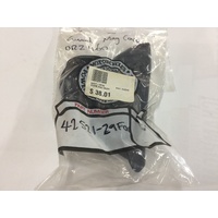 Guard , Water Pump Cover , Suzuki DR-Z400 '00-17' #42521-29F00