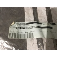 KTM Collar Screw '01-05' EXC Coil Mounting Bolts Pair #0015060123