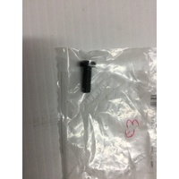 Yamaha Screw Pair 98507-06016 