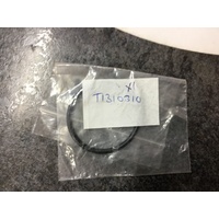 Starter Motor O-ring Triumph Thunder Bird / Rocket 