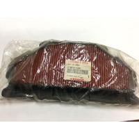 Air Cleaner Kawasaki ZX6R & ZX636R '03-04' #11013-1301