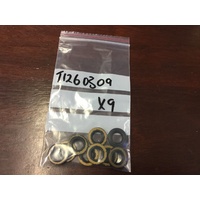 Seal (each) , Cam Cover Screw Triumph #T1260309