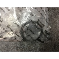 Piston Rings Piaggio Typhoon / Zip 50 #825416