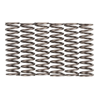 Premier Clutch Springs - Heavy Duty