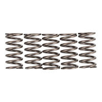 Premier Clutch Springs - Heavy Duty