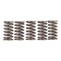 Premier Clutch Springs - Heavy Duty