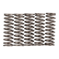 Premier Clutch Springs - Heavy Duty