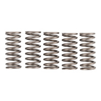 Premier Clutch Springs - Heavy Duty