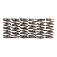 Premier Clutch Springs - Heavy Duty