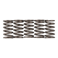 Premier Clutch Springs - Heavy Duty