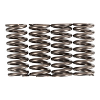 Premier Clutch Springs - Heavy Duty